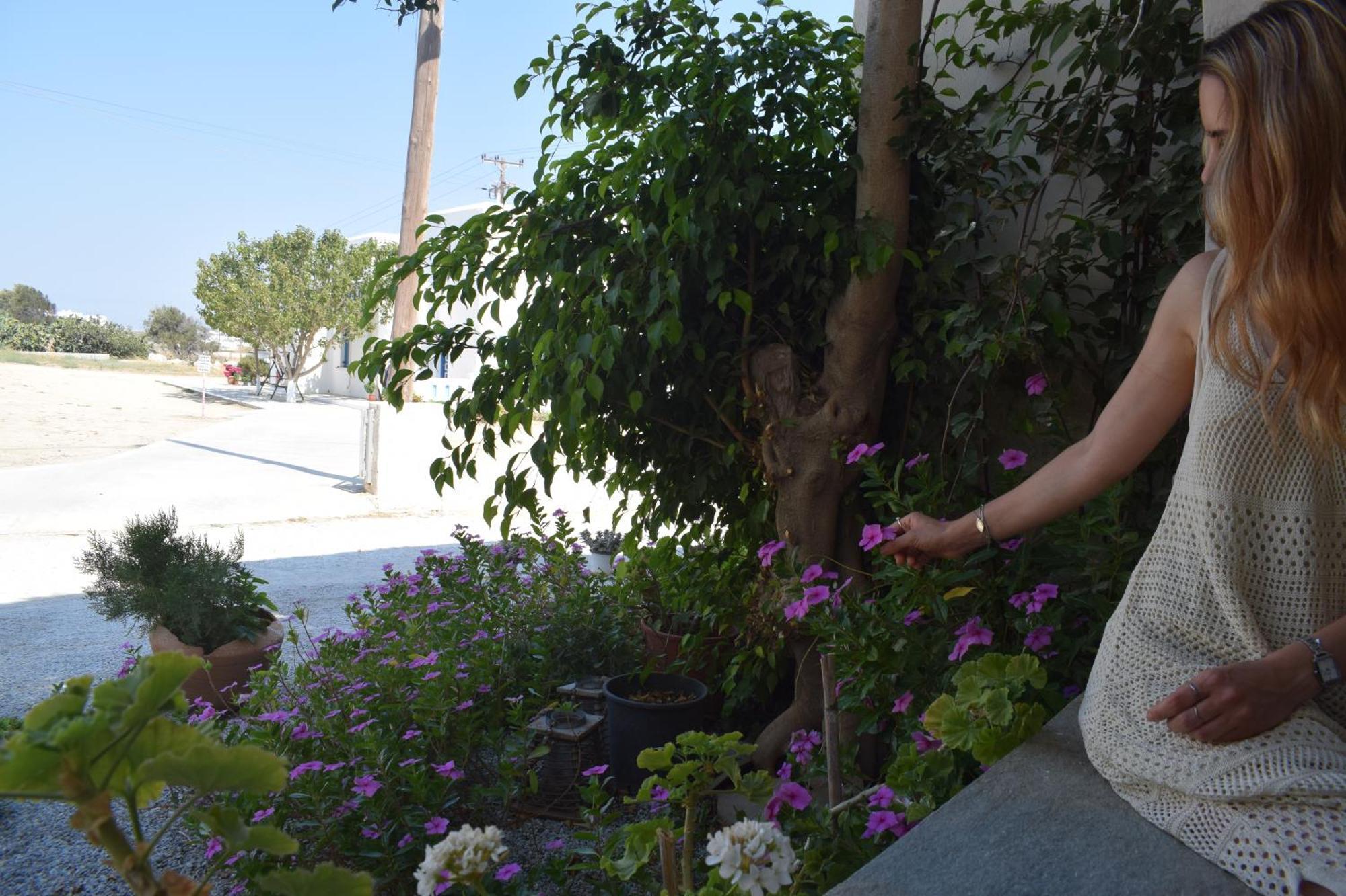 Birbas Hotel Agia Anna  Bilik gambar